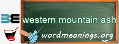 WordMeaning blackboard for western mountain ash